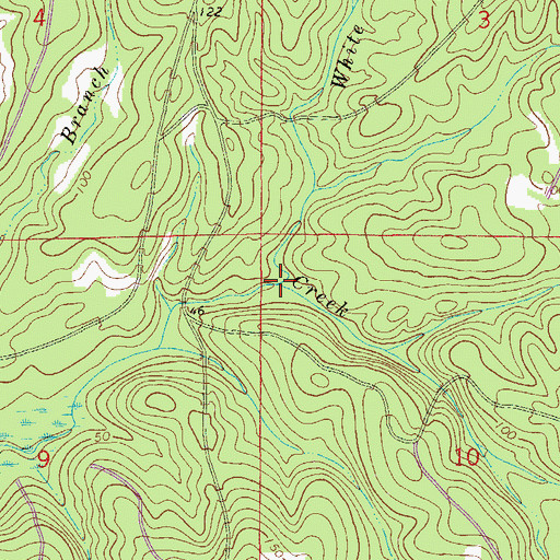 Topographic Map of White Branch, FL
