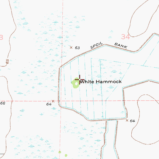 Topographic Map of White Hammock, FL