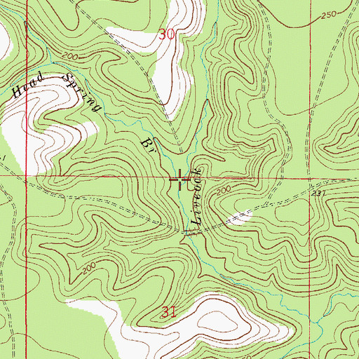 Topographic Map of White Head Spring Branch, FL