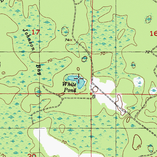 Topographic Map of White Pond, FL