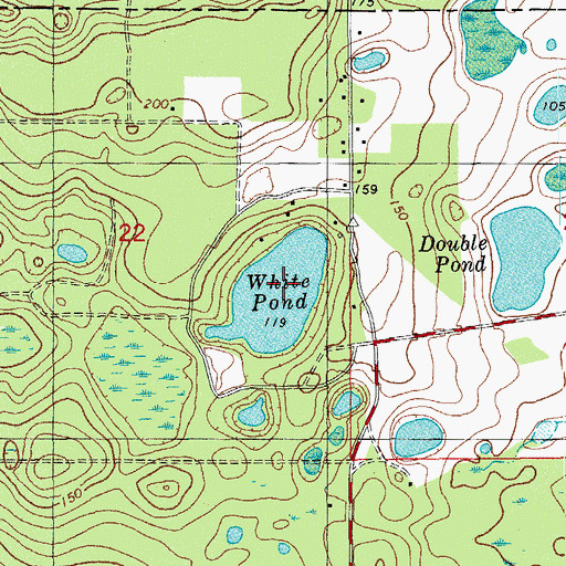 Topographic Map of White Pond, FL