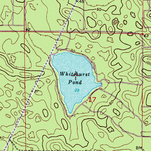Topographic Map of Whitehurst Pond, FL