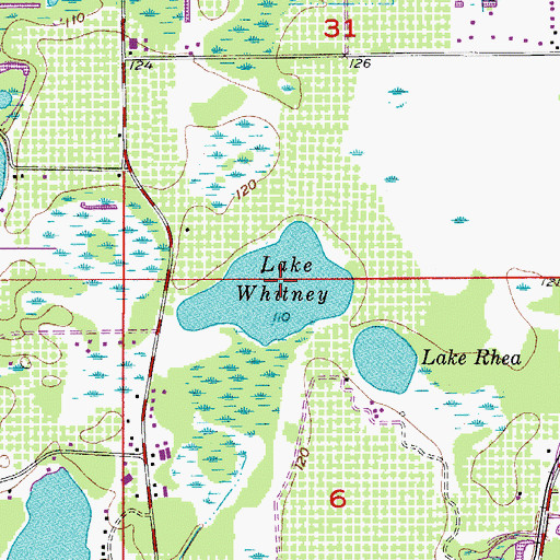 Topographic Map of Lake Whitney, FL