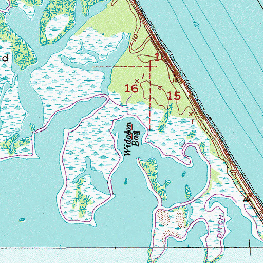 Topographic Map of Widgeon Bay, FL