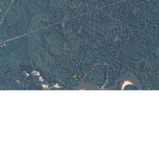 Aerial/Satellite Image of Wiggins Branch, FL