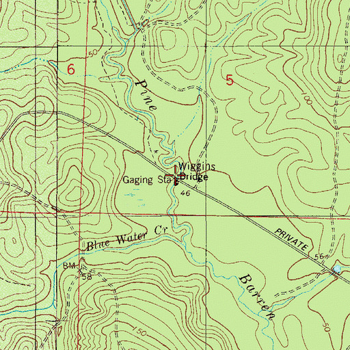 Topographic Map of Wiggins Bridge, FL