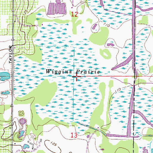Topographic Map of Wiggins Prairie, FL