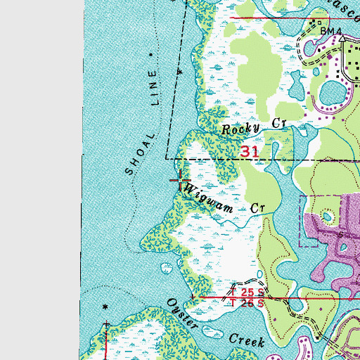 Topographic Map of Wigwam Creek, FL