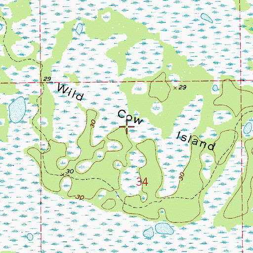 Topographic Map of Wild Cow Island, FL
