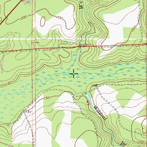 Topographic Map of Wildcat Branch, FL