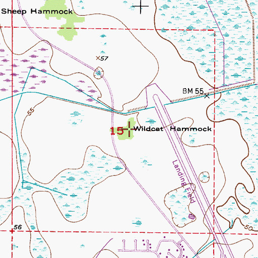 Topographic Map of Wildcat Hammock, FL