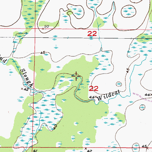 Topographic Map of Wildcat Slough, FL