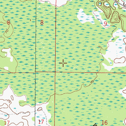 Topographic Map of Wildcat Swamp, FL