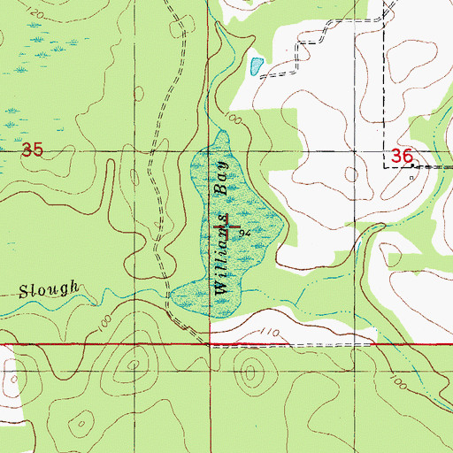 Topographic Map of Williams Bay, FL