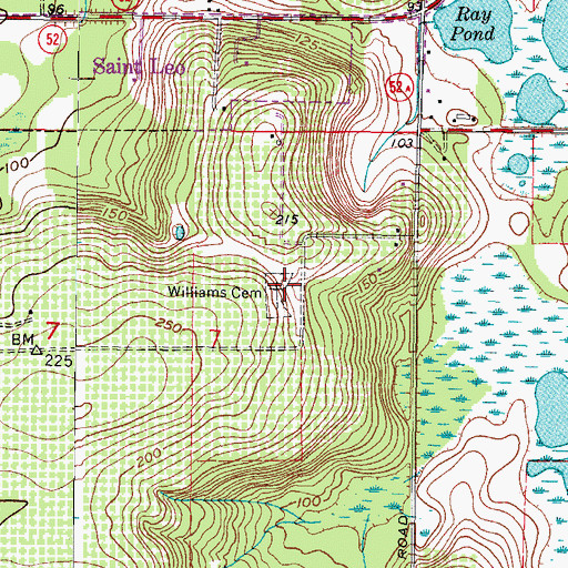 Topographic Map of Williams Cemetery, FL