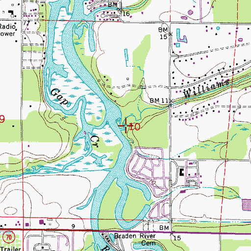 Topographic Map of Williams Creek, FL