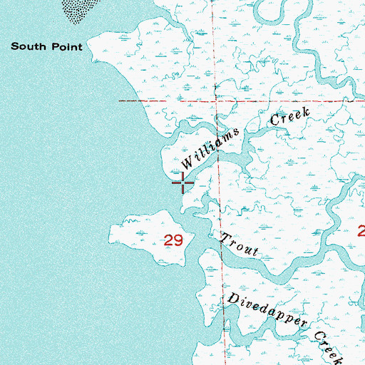 Topographic Map of Williams Creek, FL