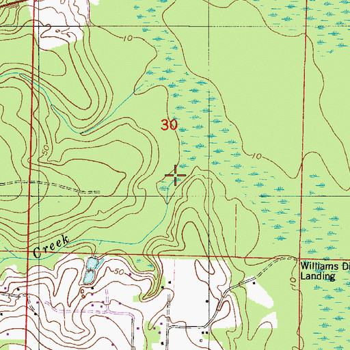 Topographic Map of Williams Creek, FL