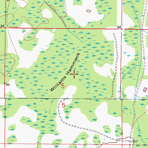 Topographic Map of Williams Hammock, FL