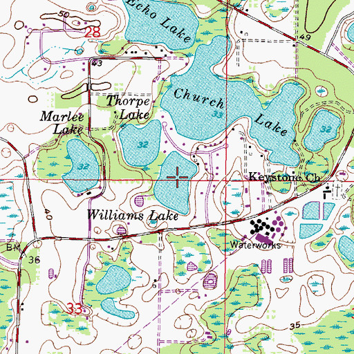 Topographic Map of Williams Lake, FL