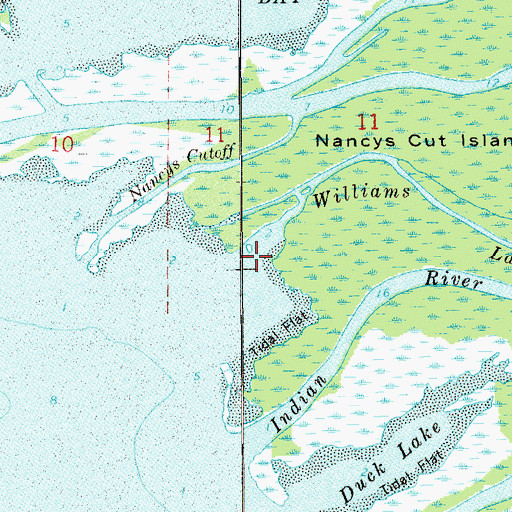 Topographic Map of Williams Lake, FL