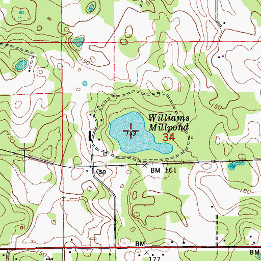 Topographic Map of Williams Mill Pond, FL