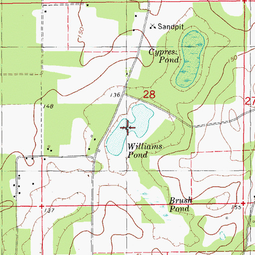 Topographic Map of Williams Pond, FL