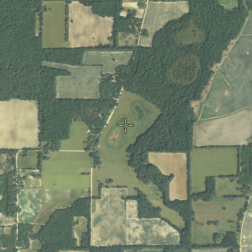 Aerial/Satellite Image of Williams Pond, FL