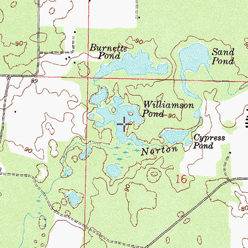 Topographic Map of Williamson Pond, FL