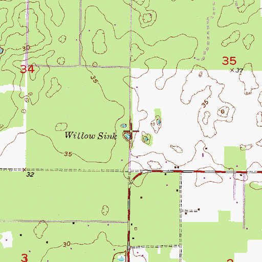 Topographic Map of Willow Sink, FL