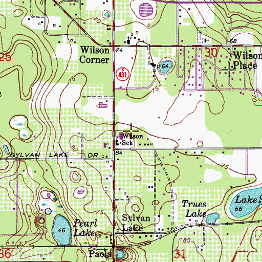 Topographic Map of Wilson Elementary School, FL