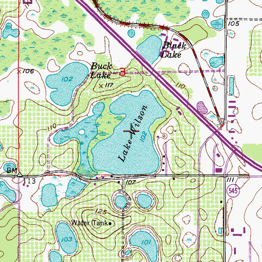 Topographic Map of Lake Wilson, FL