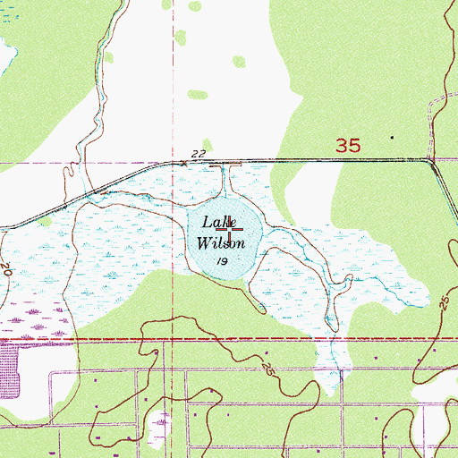 Topographic Map of Lake Wilson, FL