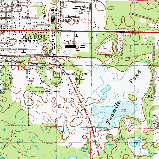 Topographic Map of Winburn Cemetery, FL
