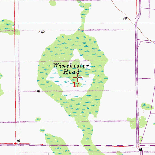 Topographic Map of Winchester Head, FL