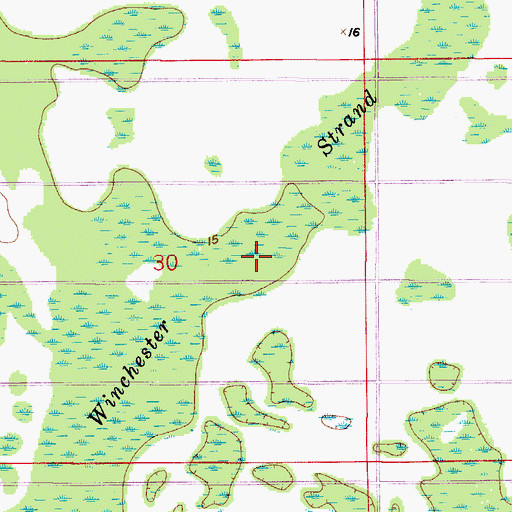Topographic Map of Winchester Strand, FL