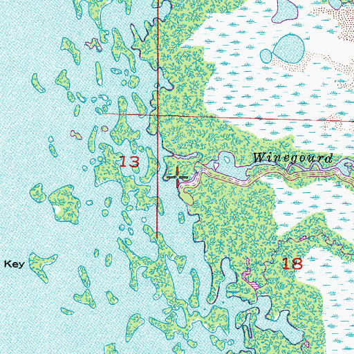 Topographic Map of Winegourd Creek, FL