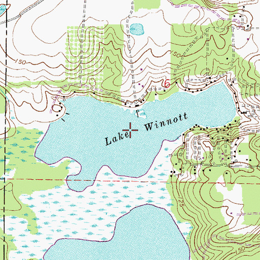 Topographic Map of Lake Winnott, FL