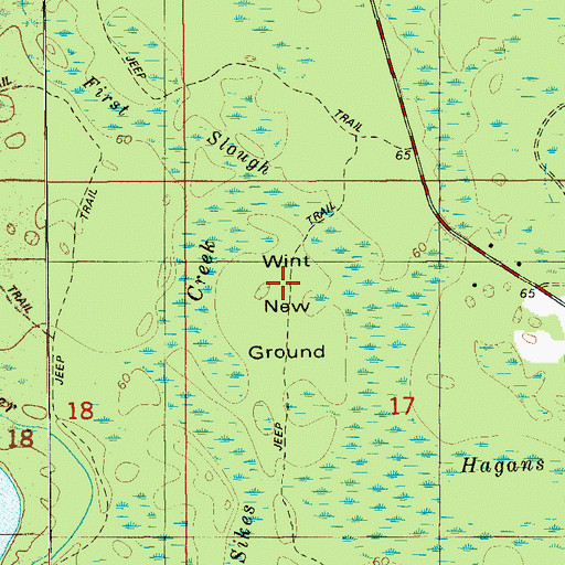 Topographic Map of Wint New Ground, FL