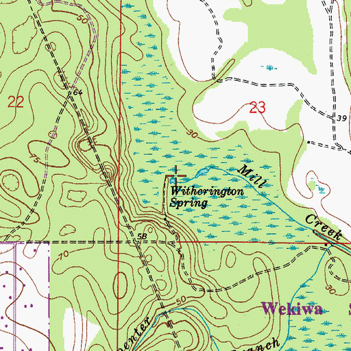 Topographic Map of Witherington Spring, FL