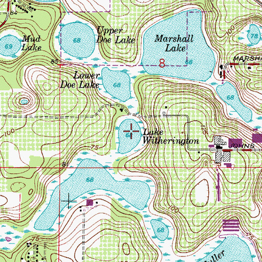 Topographic Map of Lake Witherington, FL