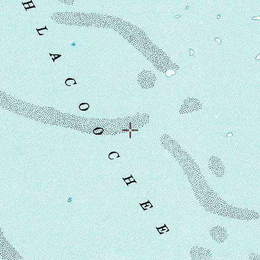Topographic Map of Withlacoochee Bay, FL
