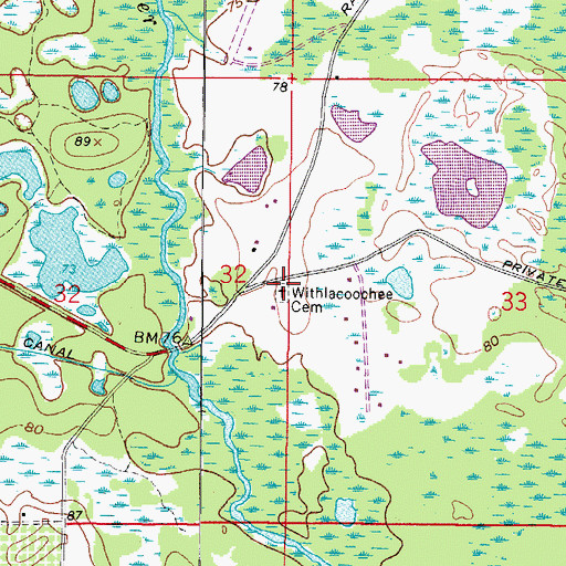 Topographic Map of Withlacoochee Cemetery, FL