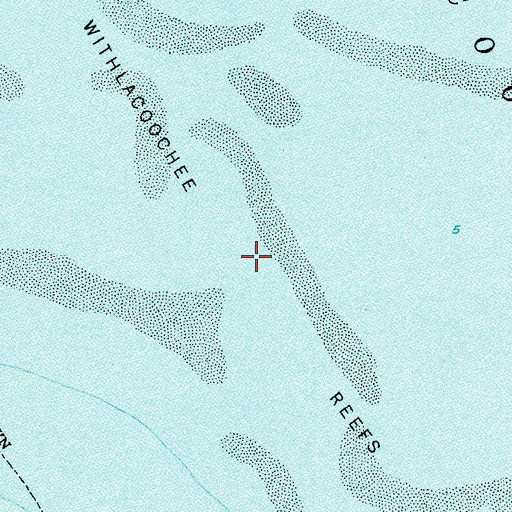 Topographic Map of Withlacoochee Reefs, FL