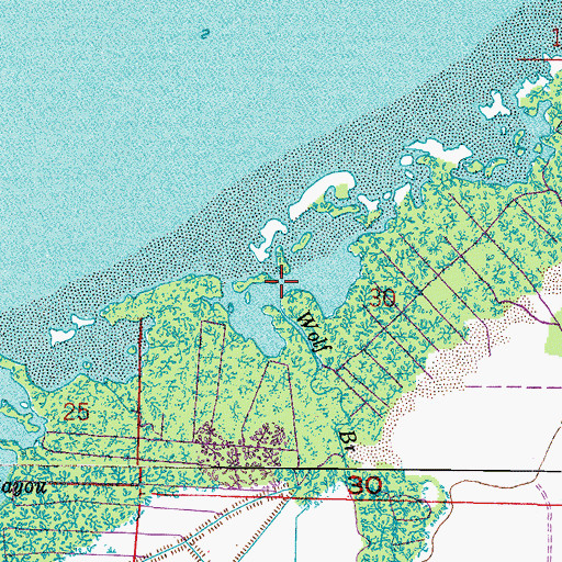 Topographic Map of Wolf Branch, FL
