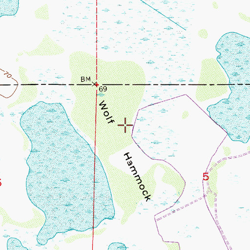 Topographic Map of Wolf Hammock, FL