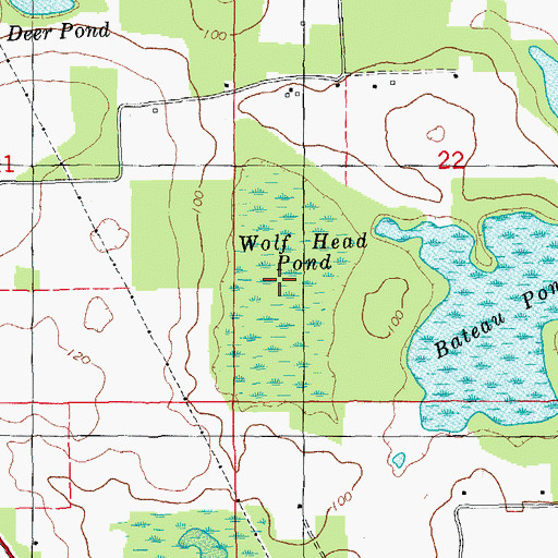 Topographic Map of Wolf Head Pond, FL
