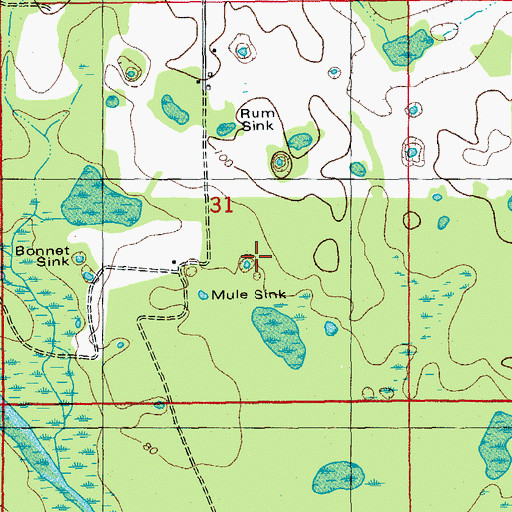 Topographic Map of Woman Sink, FL
