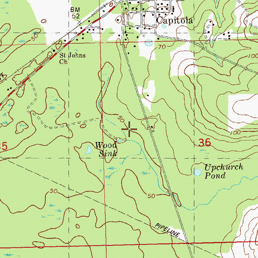 Topographic Map of Wood Sink, FL