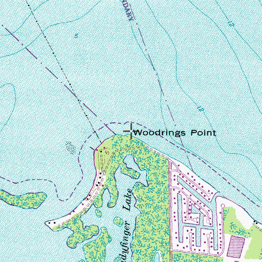 Topographic Map of Woodrings Point, FL